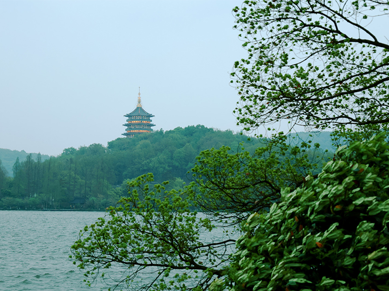 人文杭州，父母們來了！河南礦山第十三屆孝文化感恩旅游節(jié)第三站